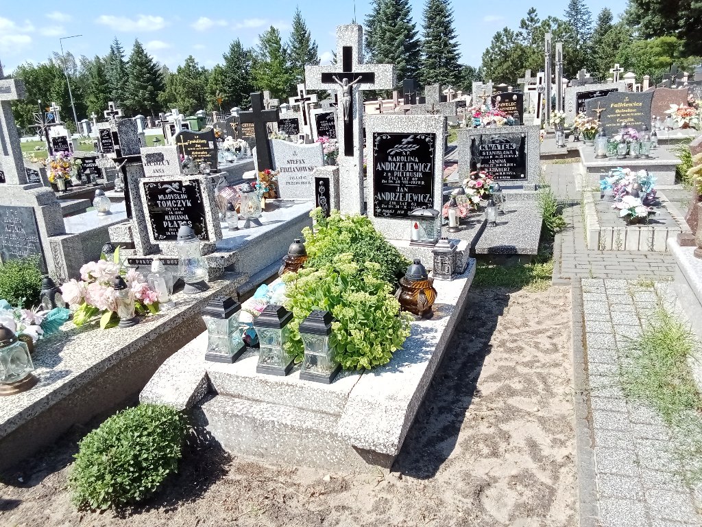 Grób Henryk Andrzejewicz