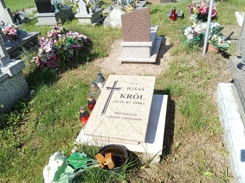 Grób Ignacy Król